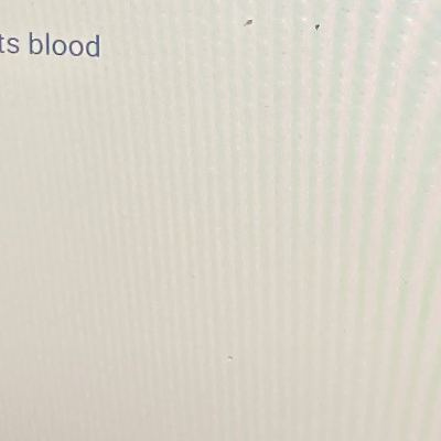 Chat with MHA-winter time!, the  character AI chatbot