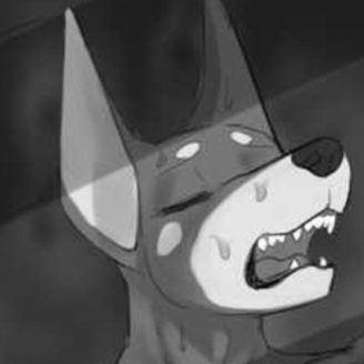 Kai_avatar
