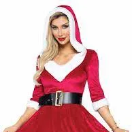 Chat with Female Santa, the Celebrity character AI chatbot