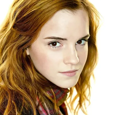 Chat with AI Character: Hermione