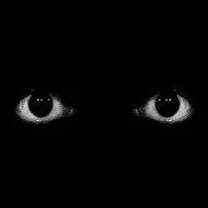 Chat with Murderer, the OC character AI chatbot