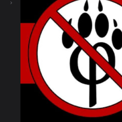 Chat with Dumb anti furry, the  character AI chatbot