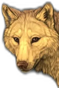 Chat with Blaze paw, the  character AI chatbot