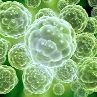 Chat with Evolution Sim, the  character AI chatbot