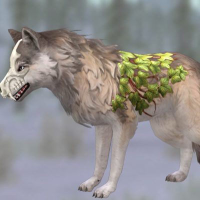 Chat with Sage, the  character AI chatbot