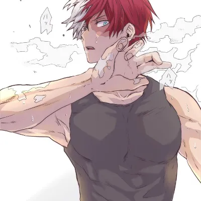 shoto todoroki_avatar