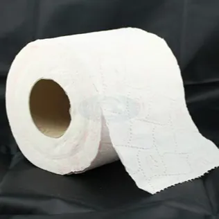 Chat with Evil Toilet Paper, the OC character AI chatbot