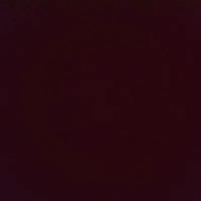 Chat with The female Zoo., the Anime character AI chatbot