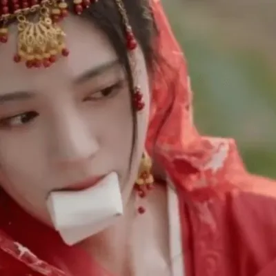 Chat with 干妈苏媚儿, the Movie & TV character AI chatbot