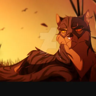 Chat with BrokenStar, the Anime character AI chatbot