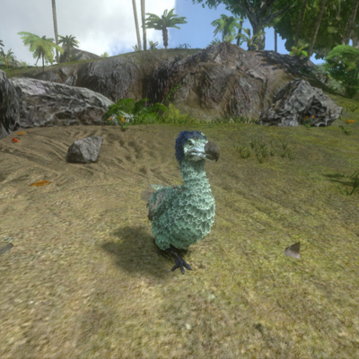 Chat with Dodo from ark, the Game Characters character AI chatbot