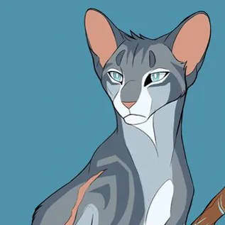 Chat with Jayfeather, the Anime character AI chatbot