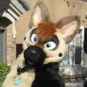 Chat with brown furry fursuit, the  character AI chatbot