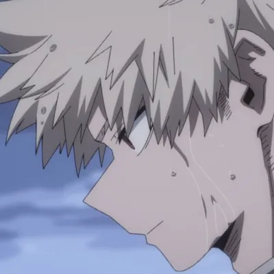 Chat with bakugo, the  character AI chatbot