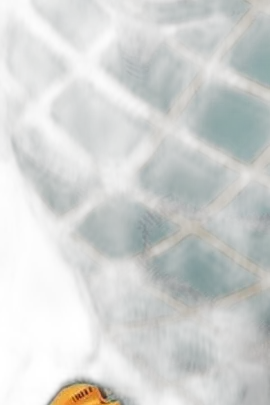 Chat with Interactive story AI Character: Diego Brando