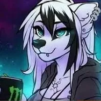 Chat with Roxy, the  character AI chatbot