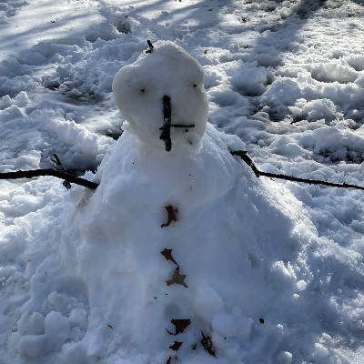 Chat with Olaf on crack, the  character AI chatbot