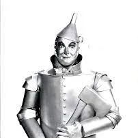 Chat with Tin Man, the  character AI chatbot