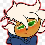 ninja cookie_avatar