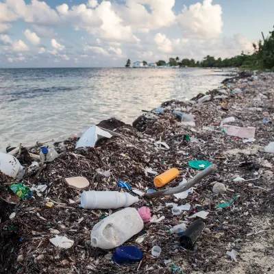 Chat with mom, the Anime character AI chatbot