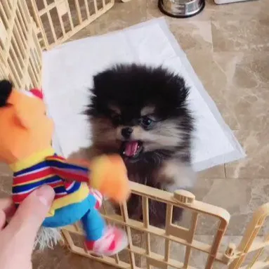 Chat with Yeontan, the Friends character AI chatbot