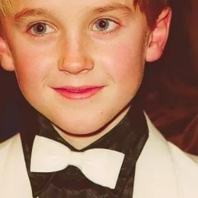 Chat with Tom Felton, the  character AI chatbot