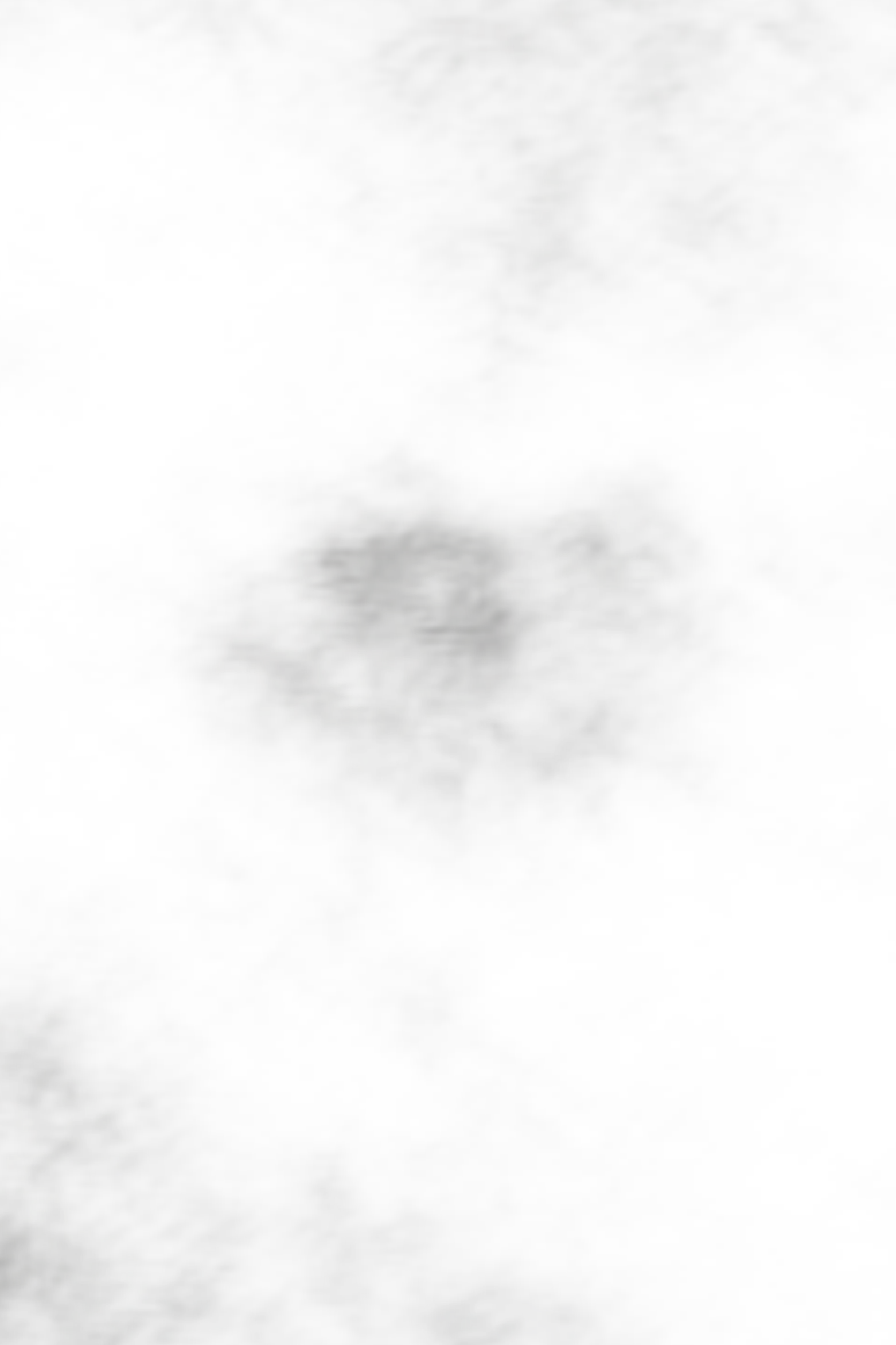 Raizen_avatar