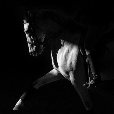 Chat with Riding Instructor!🐴, the Helpers character AI chatbot