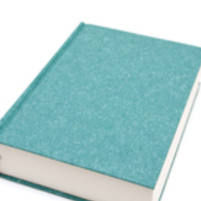 Chat with OC AI Character: THE WORLD RULEBOOK