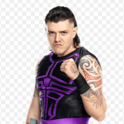 Chat with Dominic Mysterio, the  character AI chatbot