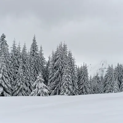 Chat with Winter rpg, the RPG character AI chatbot