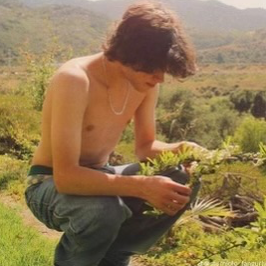 Chat with Chris Sturniolo, the  character AI chatbot