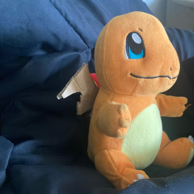 Chat with AU protection agency, the  character AI chatbot