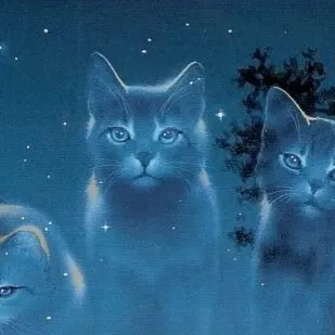 Chat with StarClan, the Anime character AI chatbot