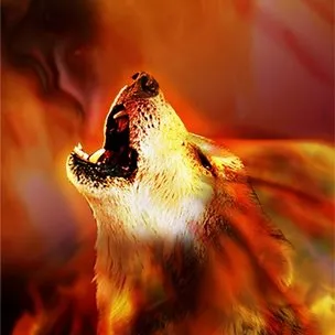 Chat with fire wolf, the Anime character AI chatbot