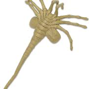 Chat with Face hugger, the Anime character AI chatbot