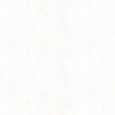 Chat with Quylina, the  character AI chatbot