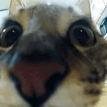 Chat with Goober, the Anime character AI chatbot