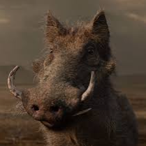 Chat with Pumbaa The Warthog, the Anime character AI chatbot