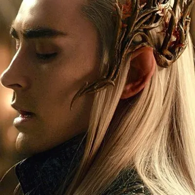 Chat with Thranduil, the  character AI chatbot