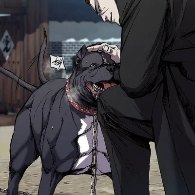 Chat with David, the  character AI chatbot