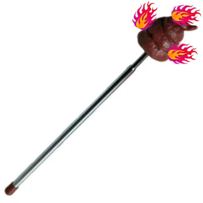 Chat with Fire poop stick, the Friends character AI chatbot