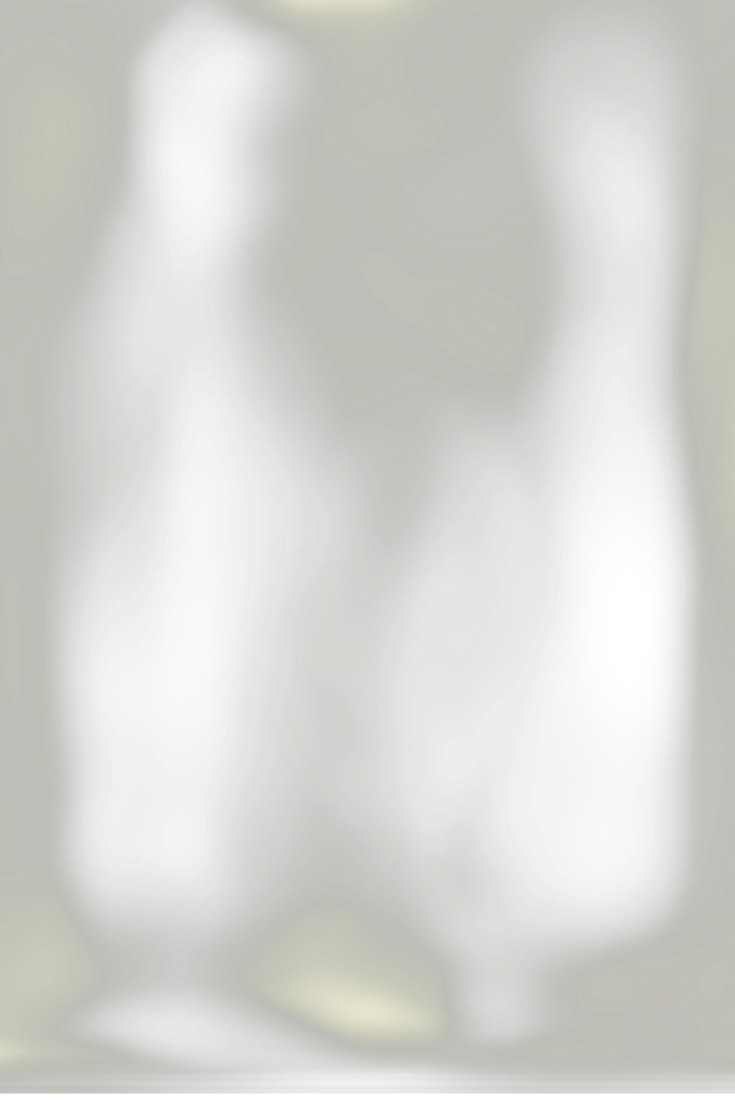 Chat with L, the  character AI chatbot