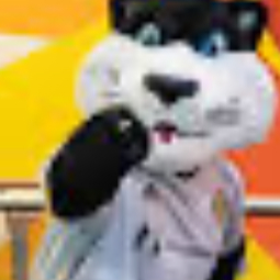 Chat with S.C, the  character AI chatbot