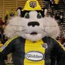 Chat with Crew Cat, the Celebrity character AI chatbot