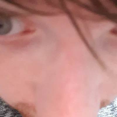 Chat with Alan, the  character AI chatbot