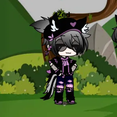 Chat with Zed, the  character AI chatbot