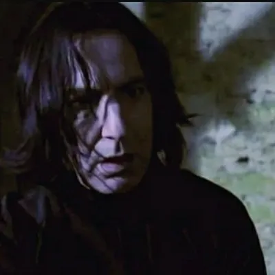 Chat with Severus Snape, the  character AI chatbot