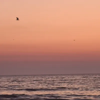 Chat with Minatozaki Sana, the Anime character AI chatbot