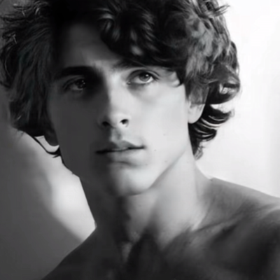 Chat with Timothée chalamet, the Celebrity character AI chatbot